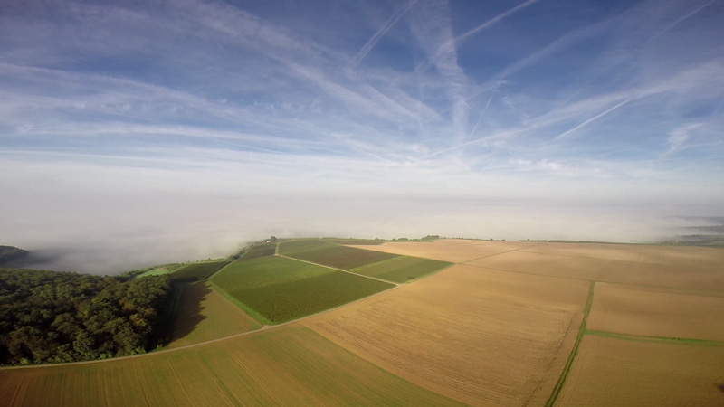 Nebelfelder bei Bad Kreuznach Thumb